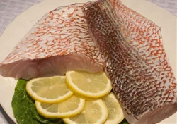 Red Snapper