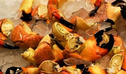 Stone Crab Claws