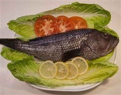 Sea Bass, Whole