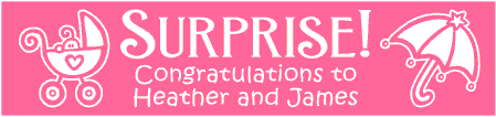 Baby Shower Surprise Banner