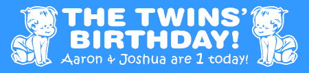 Twins Birthday Banner Boys