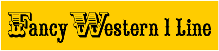 Fancy Western 1 Line Custom Text Banner