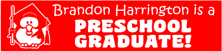 Preschool Graduation Owl Banner 2