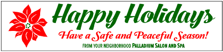 Happy Holidays Banner with Poinsettia