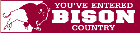 School Mascot Bison Country Banner