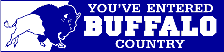 School Mascot Buffalo Country Banner