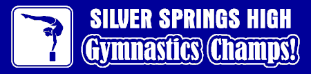 Women's/Girl's Gymnastics Champs Banner