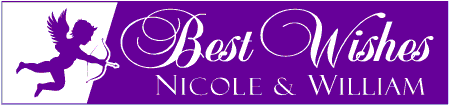 Best Wishes 2-Tone Wedding Banner with Cupid