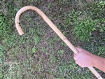 Rattan Crook Cane