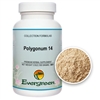 Polygonum 14 - Granules (100g)