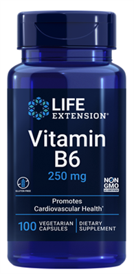 Vitamin B6 (250 mg, 100 vegetarian capsules)