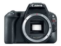 Canon EOS Rebel SL2 24.2 MP SLR - Black - Body Only
