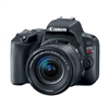 Canon EOS Rebel SL2 24.2 MP SLR - Black - EF-S 18-55mm IS STM Lens