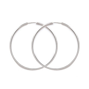 H1S2 - Endless Hoop 2mm Tube