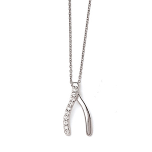 N0062 - Wishbone Pendant with Chain