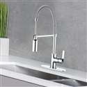 Naples Single Handle Kitchen Faucet with Pull Down Sprayer