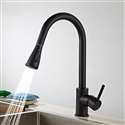Fontana Valence Gooseneck Sensorless Matte Black Finish Kitchen Faucet with Pull Down Sprayer