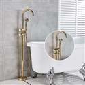 Fontana BollnÃ¤s Gold Floor Mounted Tub Sink Faucet with Hand Shower