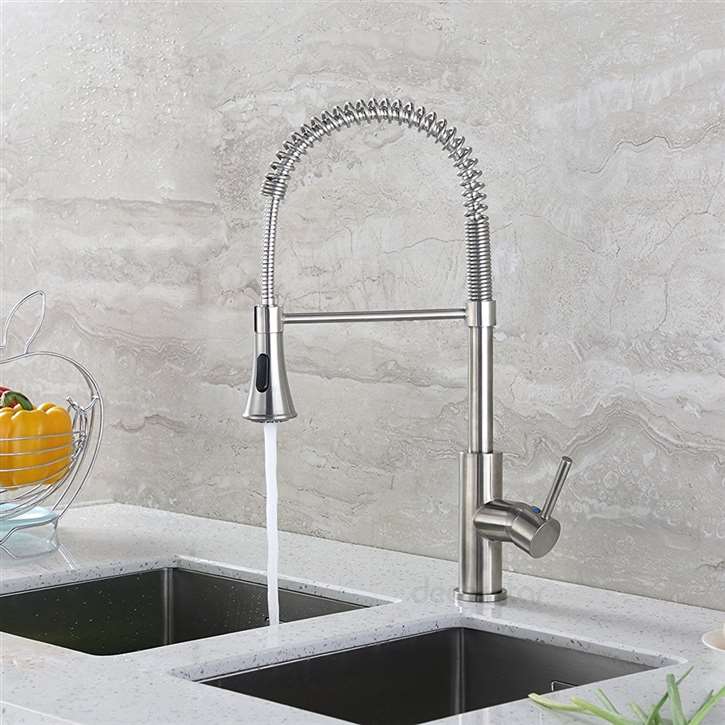 Merritt Contemporary Kitchen Sink Faucet with Pull Down Spray