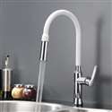Avellino Stainless Steel Single Handle Kitchen Faucet