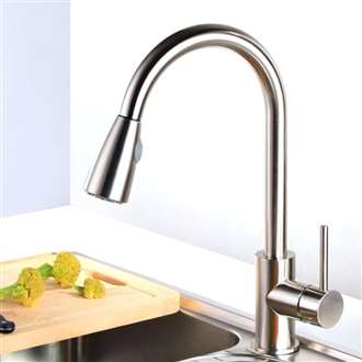 Venice Brushed Nickel Single Handle Kitchen Sink Faucet with Pull Down Spout