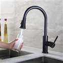 Leon Oil Rubbed Bronze Kitchen Sink Faucet with Pull Down Spout