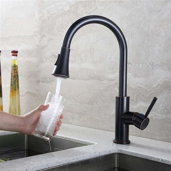 Leon Oil Rubbed Bronze Kitchen Sink Faucet with Pull Down Spout