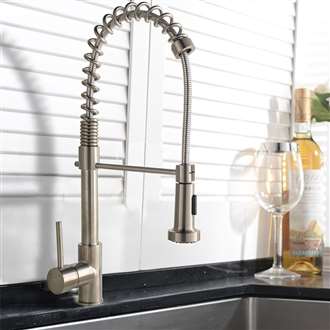 Bauta Single Handle Kitchen Sink Faucet with Pull Spray