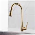 Lisbon Kitchen Sink Faucet with Pullout Sprayer