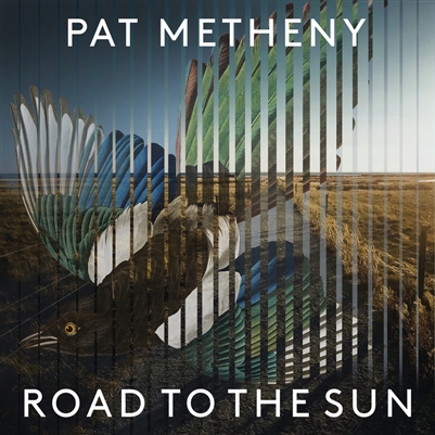 Pat Metheny - Road To The Sun - VINYL LP