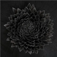 Jonsi - Obsidian (Black / Gold Galaxy Vinyl) - VINYL LP