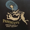 Papercuts - You Can Have What You Want - VINYL LP