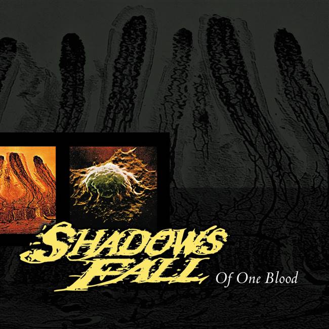 Shadows Fall - Of One Blood (12" Vinyl) - VINYL LP