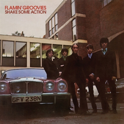 Flamin' Grooves - Shake Some Action - VINYL LP