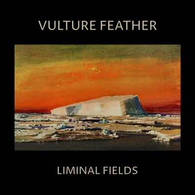 Vulture Feather - Vulture Feather (Bone Colored Vinyl) - VINYL LP