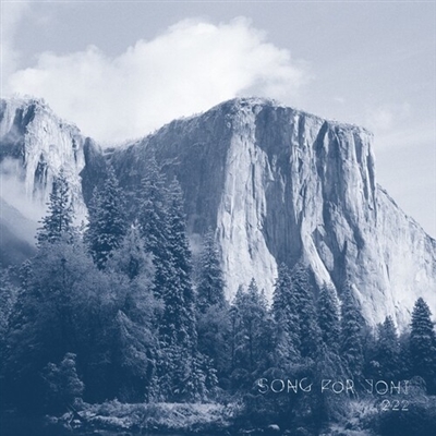 222 - Song For Joni - Vinyl LP