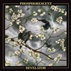 Phosphorescent - Revelator (Indie Exclusive Black Ice Vinyl) - VINYL LP