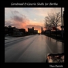 Theo Parrish - Cornbread & Cowrie Shells for Bertha - VINYL LP