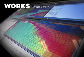 WORKS Brain Flash P1 with EcuTek