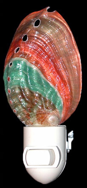 rainbow Abalone night light