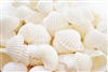 medium white ark shells