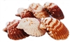 Calico Scallop Large