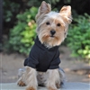 Doggie Design Flex Fit Hoodie-Black