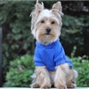 Doggie Design Flex Fit Hoodie-Blue