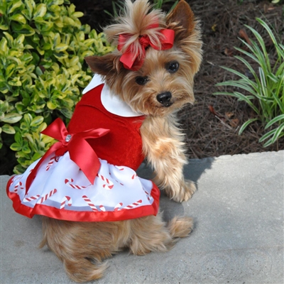 Holiday Dog Harness Dress - Candy Canes