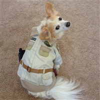 Indiana Bones Dog Costume