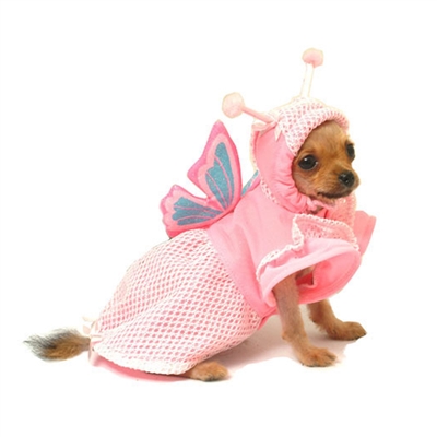 Lady Butterfly Dog Costume