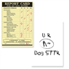 Pet Sitter - Dog Sitter Report Card