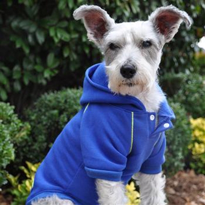 Sport Dog Hoodie-Nautical Blue