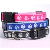 Two-Tone Pawprint Dog Collar